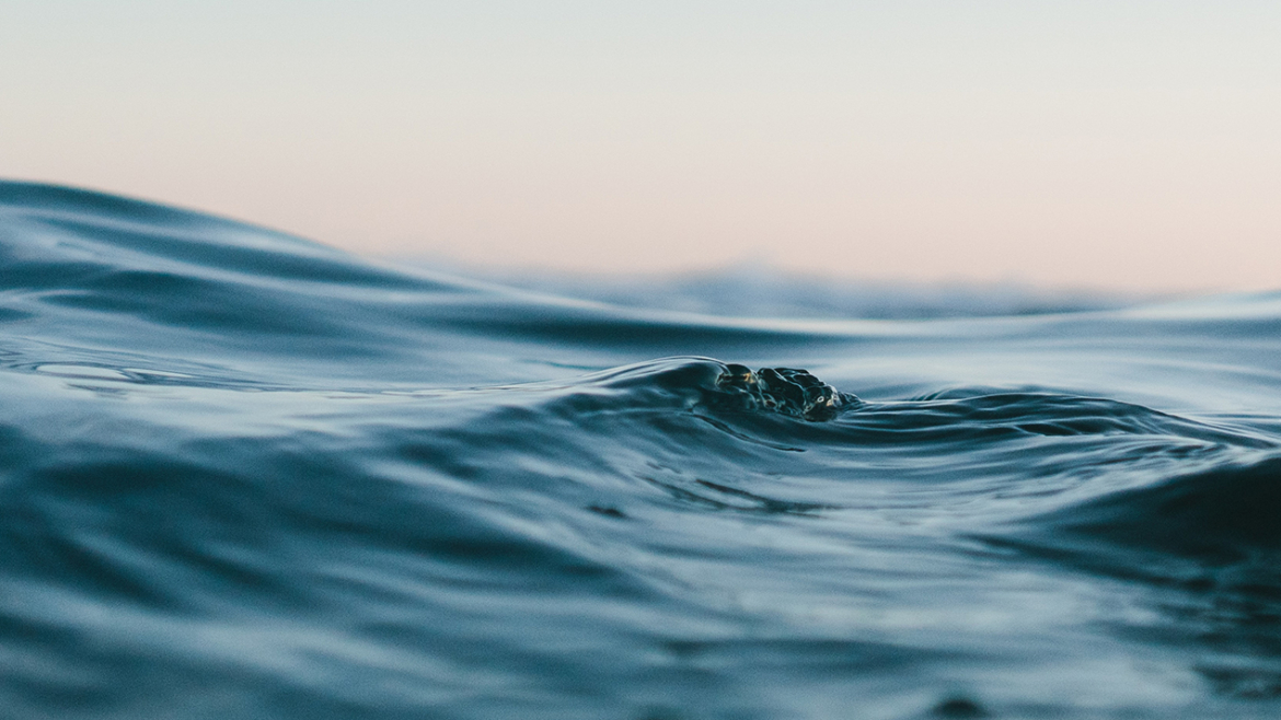 How to prevent seasickness