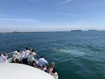 Ash scattering at sea